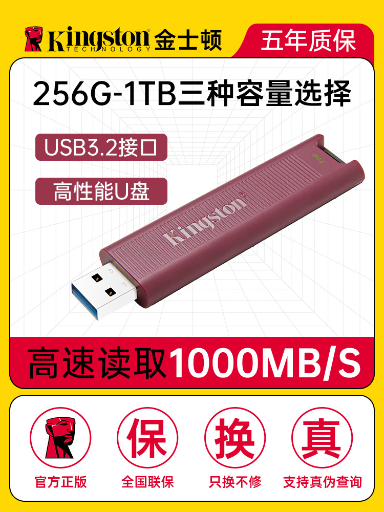 金士顿u盘KingstonUSB3.21TB