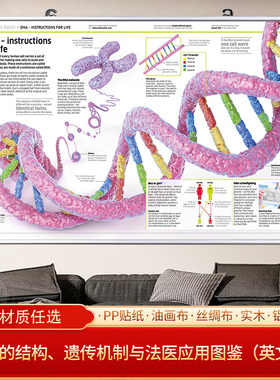 遗传机制与法医应用图鉴DNA的结构生物学挂画科研思维导图装饰画