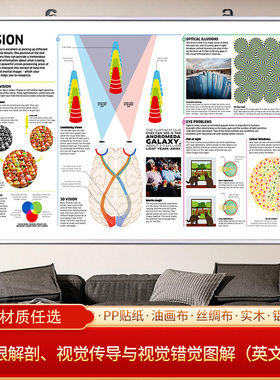 视觉传导与视觉错觉图解生物学挂画科研用思维导图谱免打孔装饰画