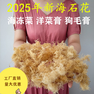 海石花特级石花菜野生石花膏冻菜岩衣胶冻洋菜青岛凉粉冻菜500克