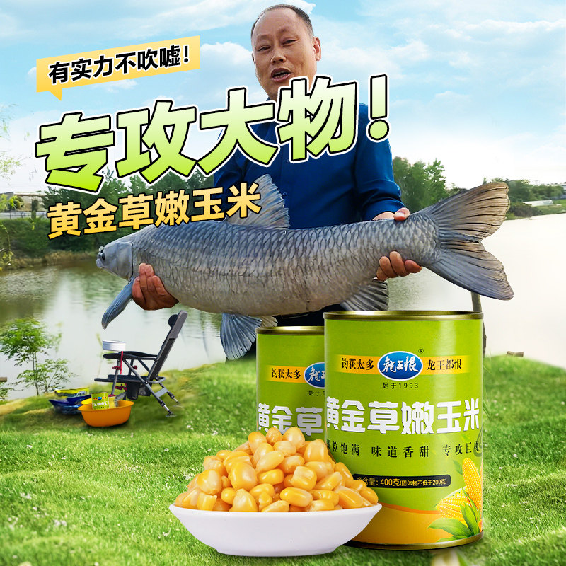 龙王恨鲜嫩玉米大颗粒手剥挂钩玉米饵料黑坑野钓专用生鲜玉米饵料