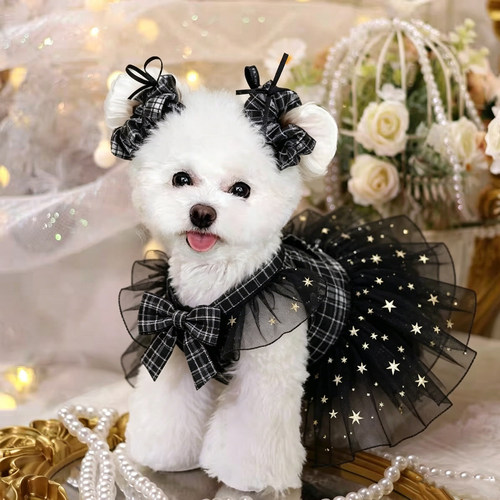 比熊狗狗裙子宠物衣服小型犬夏天薄款公主裙漂亮2026新款幼犬洋气