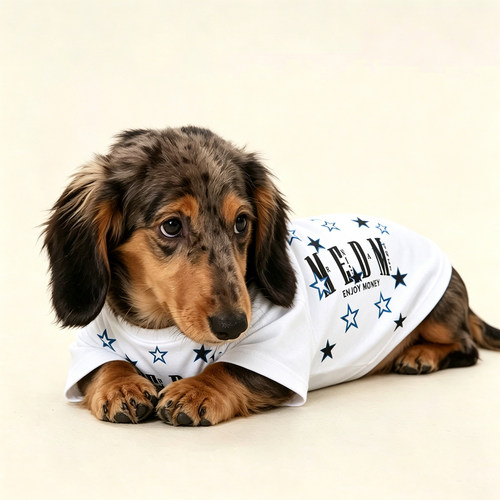 腊肠狗狗T恤宠物衣服小型犬夏天薄款公主裙漂亮2026新款幼犬洋气