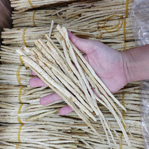 沙参250g去芦头精选无硫中条
