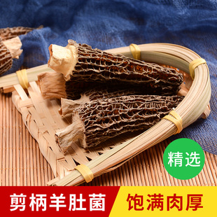 干货 剪柄 云南野生羊肚菌新鲜煲汤材料送礼 羊肚菌50g 永秀堂