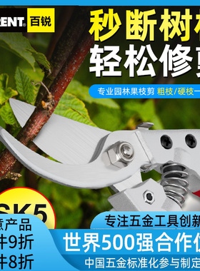 百锐园艺剪刀修剪树枝剪刀园林花艺修剪果树修枝剪剪树枝专用剪刀