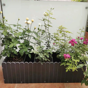 长方形塑料花盆户外家用仿木学校白色阳台种菜花简约PVC花箱定制