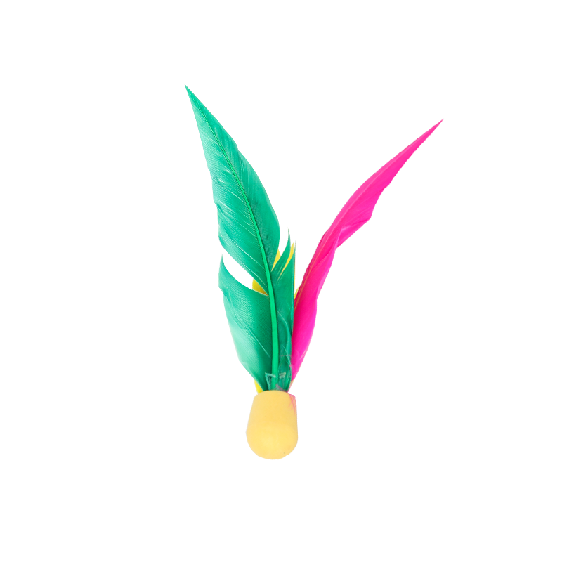 羽飛健板羽球正品高彈橡膠頭靜音海綿兒童傳統(tǒng)趣味運(yùn)動(dòng)游戲三毛球