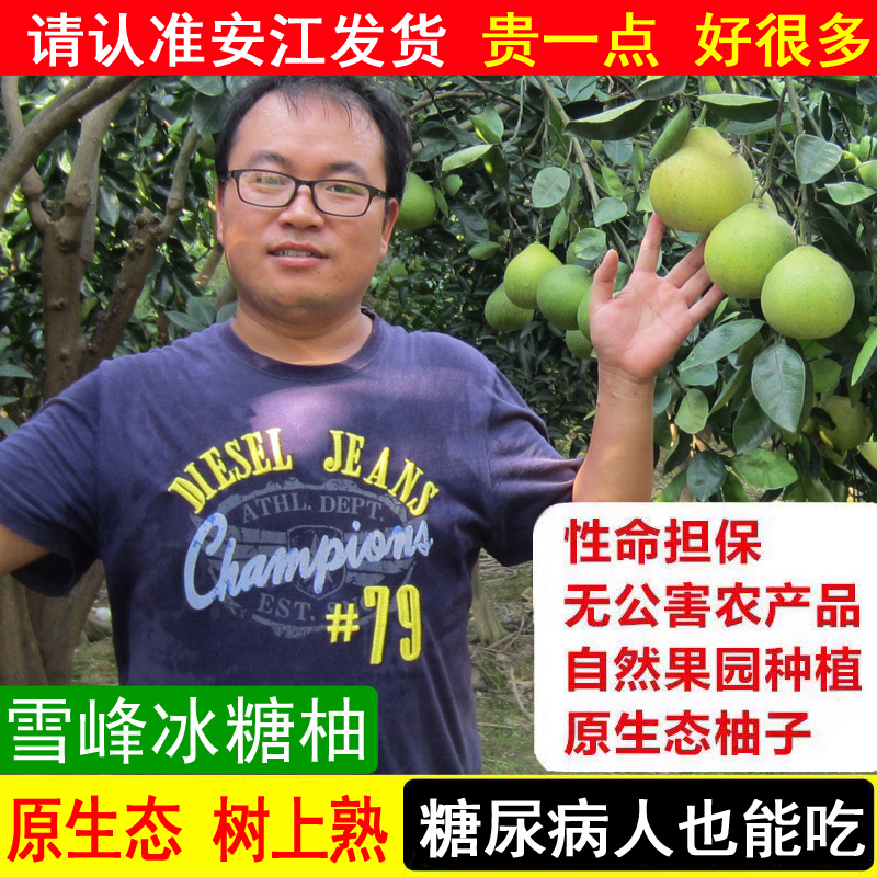 湖南怀化老树雪峰安福金兰冰糖柚