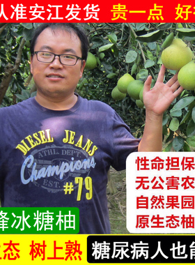 正宗安江冰糖柚i湖南怀化老树雪峰柚新鲜小苦柚子胜金兰药柚泰柚