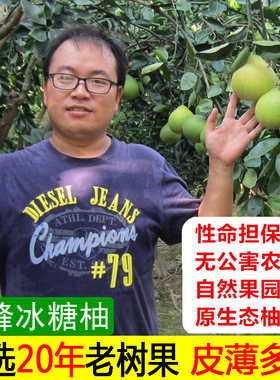 礼盒装冰糖柚安江冰糖柚