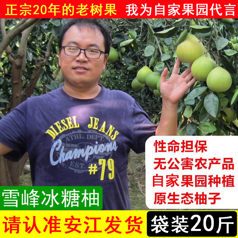 中华药柚子安江冰糖柚