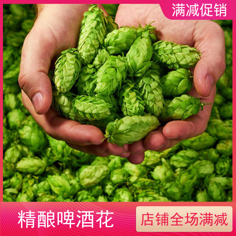 精酿啤酒花萨兹卡斯卡特萨兹传统
