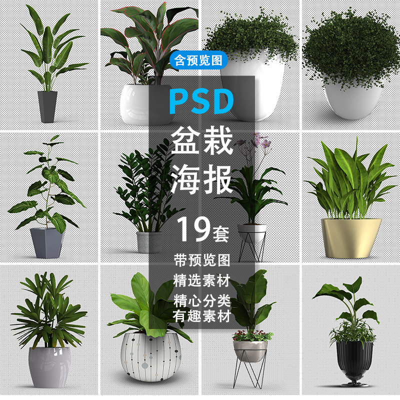 盆栽等距植物3d渲染高级植物盆栽绿植水草植物ps免抠设计素材图像
