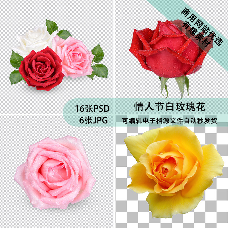 玫瑰叶子隔离优质psd情人节红鲜花叶单花白玫瑰花一枝贴图素材