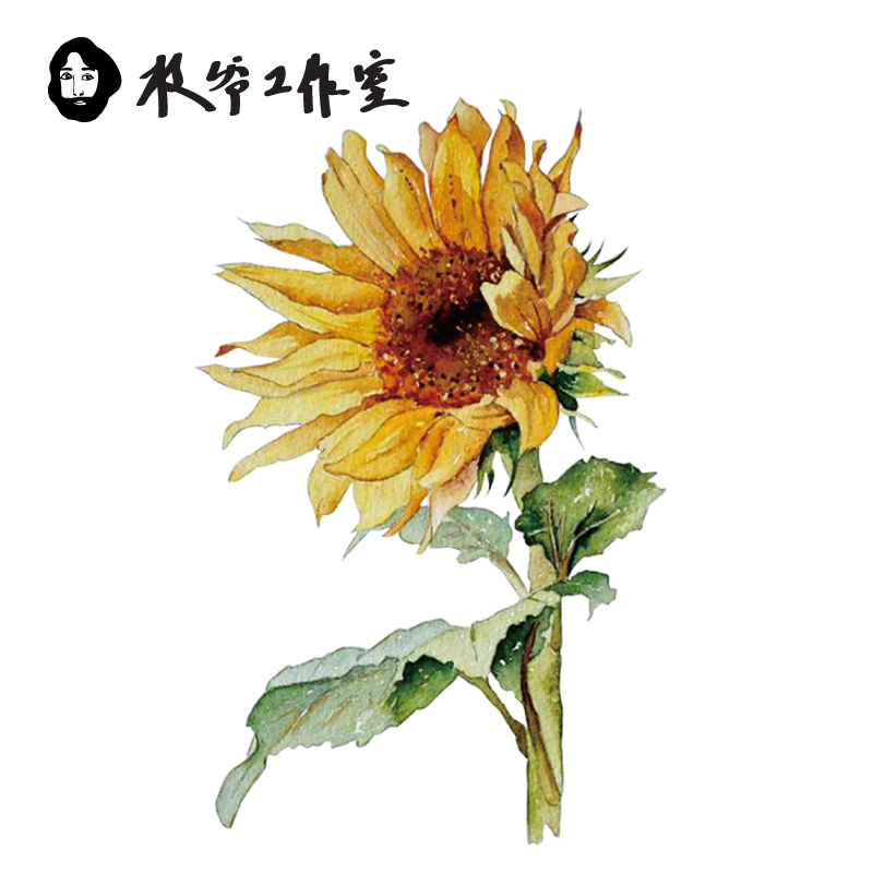 枝爷太阳守护者纹身贴彩色向日葵花朵花语沉默的爱淡彩植物防水