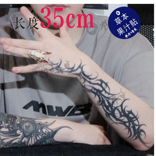 草本果汁张砚拙手臂荆棘35cm