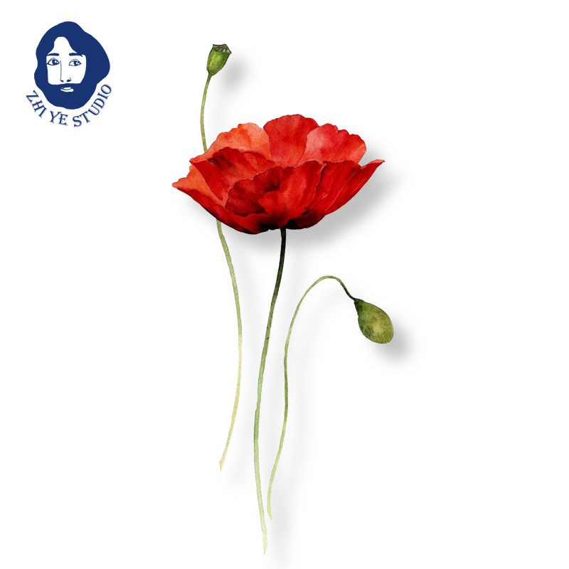 枝爷原创血红罂粟曼陀罗水彩花卉防水女持久森系清新手绘纹身贴