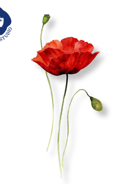 枝爷原创血红罂粟曼陀罗水彩花卉防水女持久森系清新手绘纹身贴