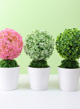 仿真植物盆栽发财树草球盆景家居装饰花摆件创意迷你小圆球樱雪球