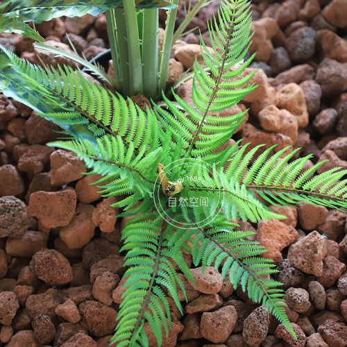 真桫椤叶仿真蕨类植物室内绿植装饰商业空间蕨草绿植假叶子