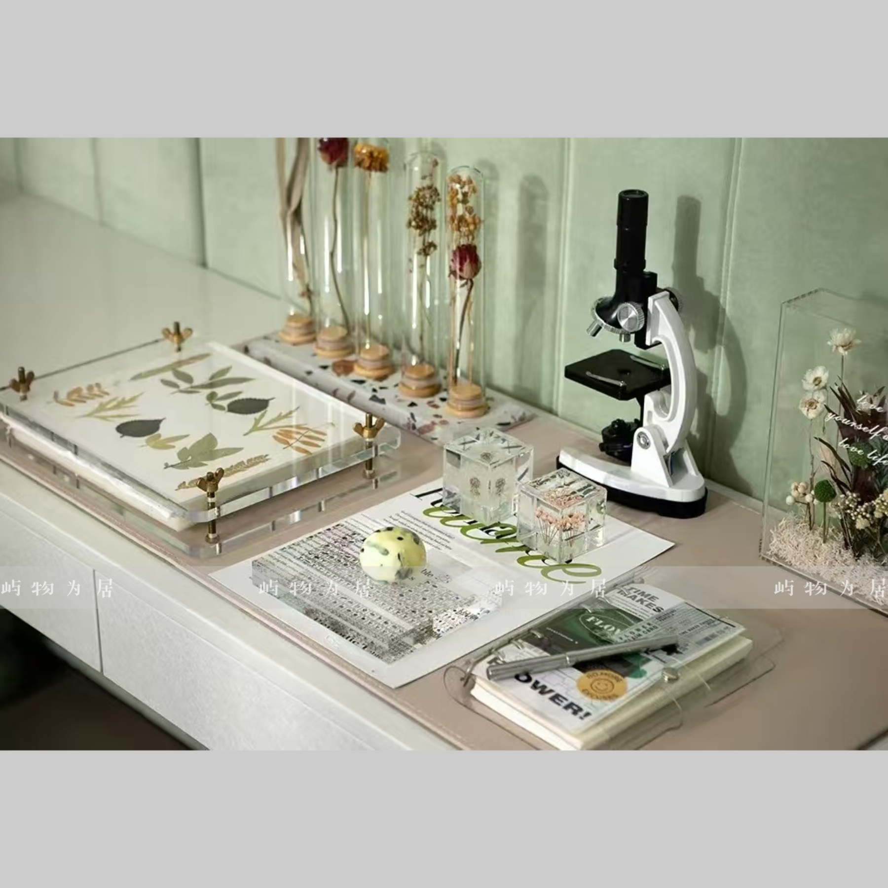 屿物为居 现代样板间儿童房书房书桌植物精油手作主题昆虫花标本