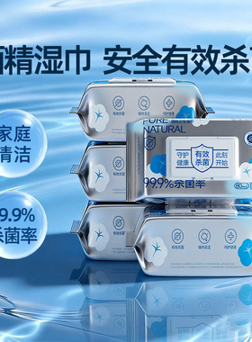 丽佳宝贝酒精湿巾纸清洁大包99.9%杀菌家用加厚办公湿纸巾80抽
