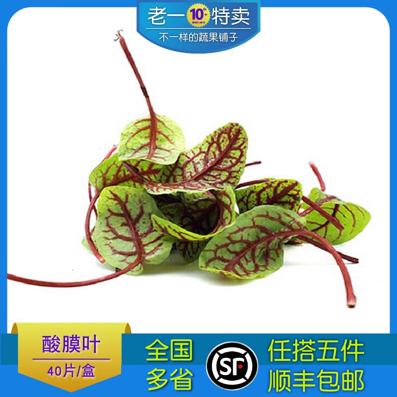 老一特卖 新鲜酸膜 酸模叶 红酸膜草 西餐 一盒 约40片左右