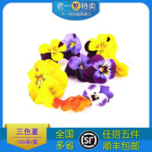 三色堇 西餐摆盘装 三色花 约100朵 饰 新鲜 老一特卖
