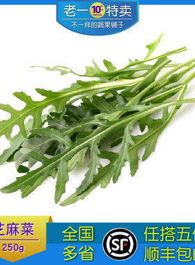 芝麻菜老一特卖新鲜沙拉菜