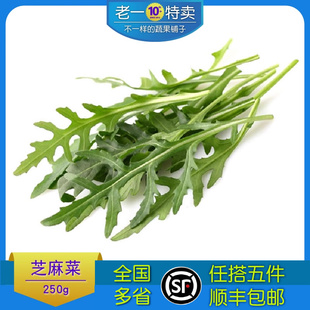 新鲜芝麻菜250g 老一特卖 沙拉蔬菜西餐火箭菜沙拉色拉菜