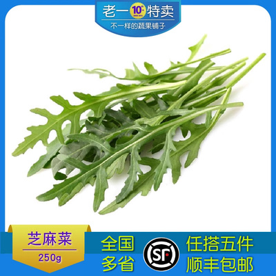 芝麻菜老一特卖新鲜沙拉菜