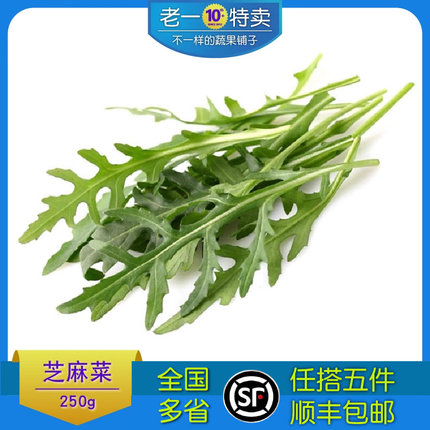 老一特卖 新鲜芝麻菜250g 沙拉蔬菜西餐火箭菜沙拉色拉菜