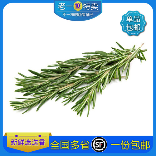 新鲜迷迭香250g 迷失迷迪香烧烤烘焙调料西餐煎牛排食用香料配料