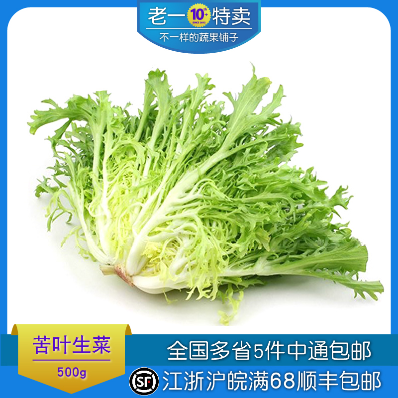 老一特卖 新鲜 沙拉菜 苦菊 苦叶 苦苣 苦菜生菜 500克 水产肉类/新鲜蔬果/熟食 其它 原图主图