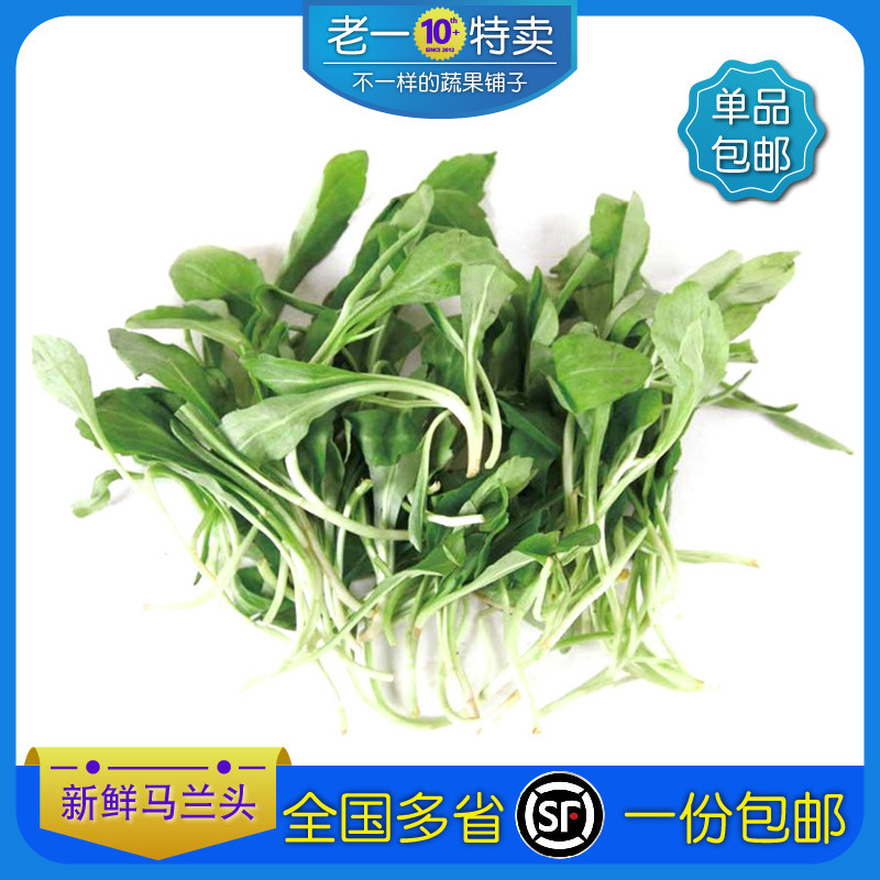 新鲜马兰头蔬菜食用鸡儿肠崇明岛多省包邮湿的，偏老回家要挑拣