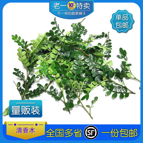 新鲜清香木酒楼摆盘点缀花草蛋糕甜品饮品装饰叶子胡椒木多省包邮