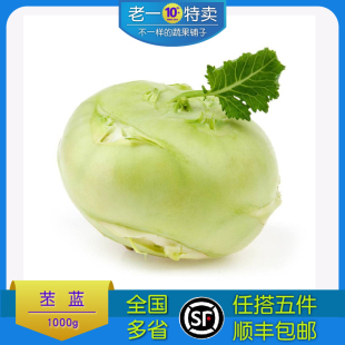 新鲜苤蓝大头菜大芥菜头撇了疙瘩青球甘蓝蔬菜农家撇啦丕