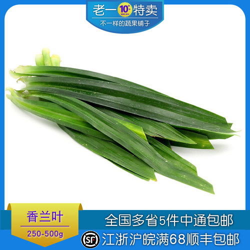老一特卖香兰叶新鲜甲斑斓叶500g