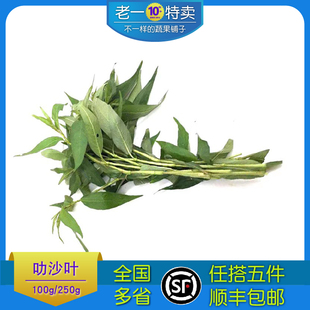 新鲜叻沙叶拉沙叶laksa leaf 东南亚香料叻沙面云南香柳香菜