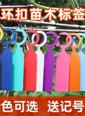 苗木加厚环套标签塑料防水花卉区分记号牌卡片悬挂式园艺标记牌