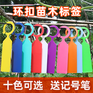 苗木加厚环套标签塑料防水花卉区分记号牌卡片悬挂式园艺标记牌