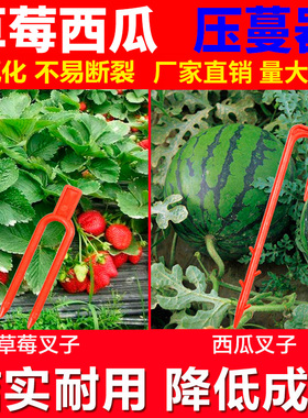 草莓西瓜压蔓器甜瓜定苗器叉子U型藤蔓定植器走茎固定叉子