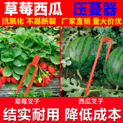 草莓西瓜压蔓器甜瓜定苗器叉子U型藤蔓定植器走茎固定叉子