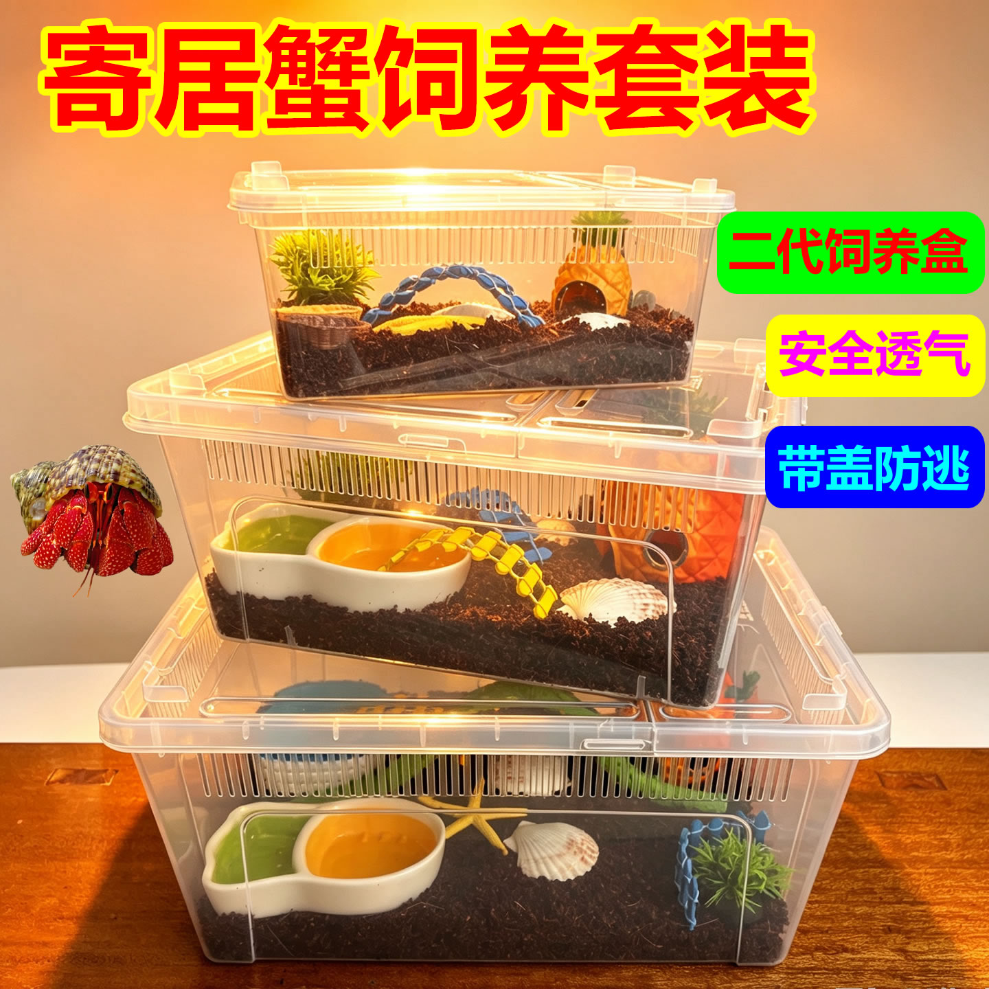 活体寄居蟹饲养箱套装儿童礼物