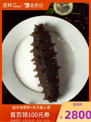 Yishi Sea Ginseng модель A Dan Dry Sea Cucumber Shandong Weihai. Сухие товары наносят удары сухой морской огурец 220g