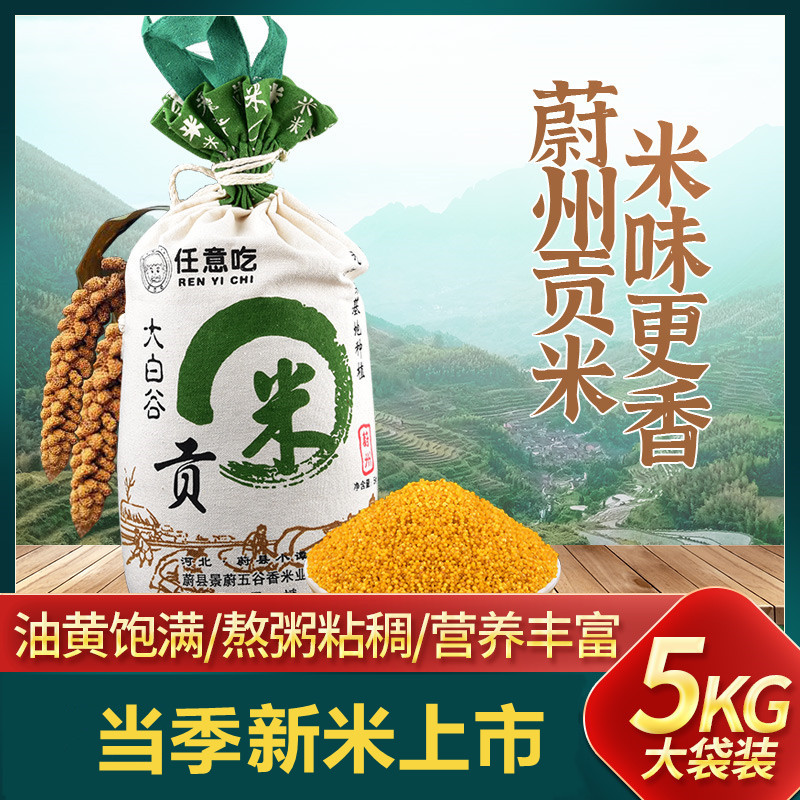 黄小米蔚县桃花大白谷小黄米蔚州贡米米脂油香糯粘稠新月子米杂粮