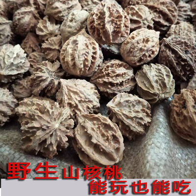 野生秋子山核桃散籽手串料打手持做脖挂老树成熟度高坚果可食可玩