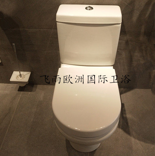 德国唯宝萨泊威分体直冲座厕马桶座便器66301001可配宝洁丽智能盖