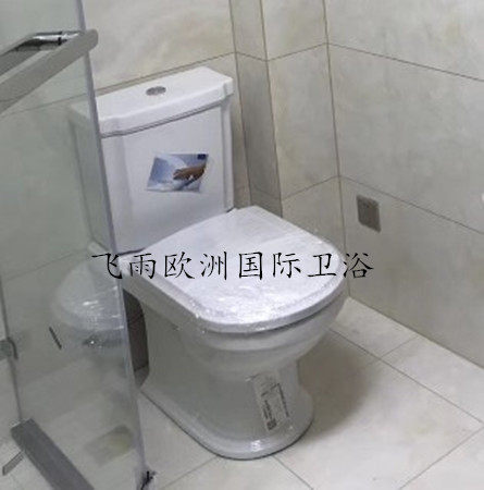 德国唯宝豪迈分体直冲式座便器（马桶）666210R1特价，